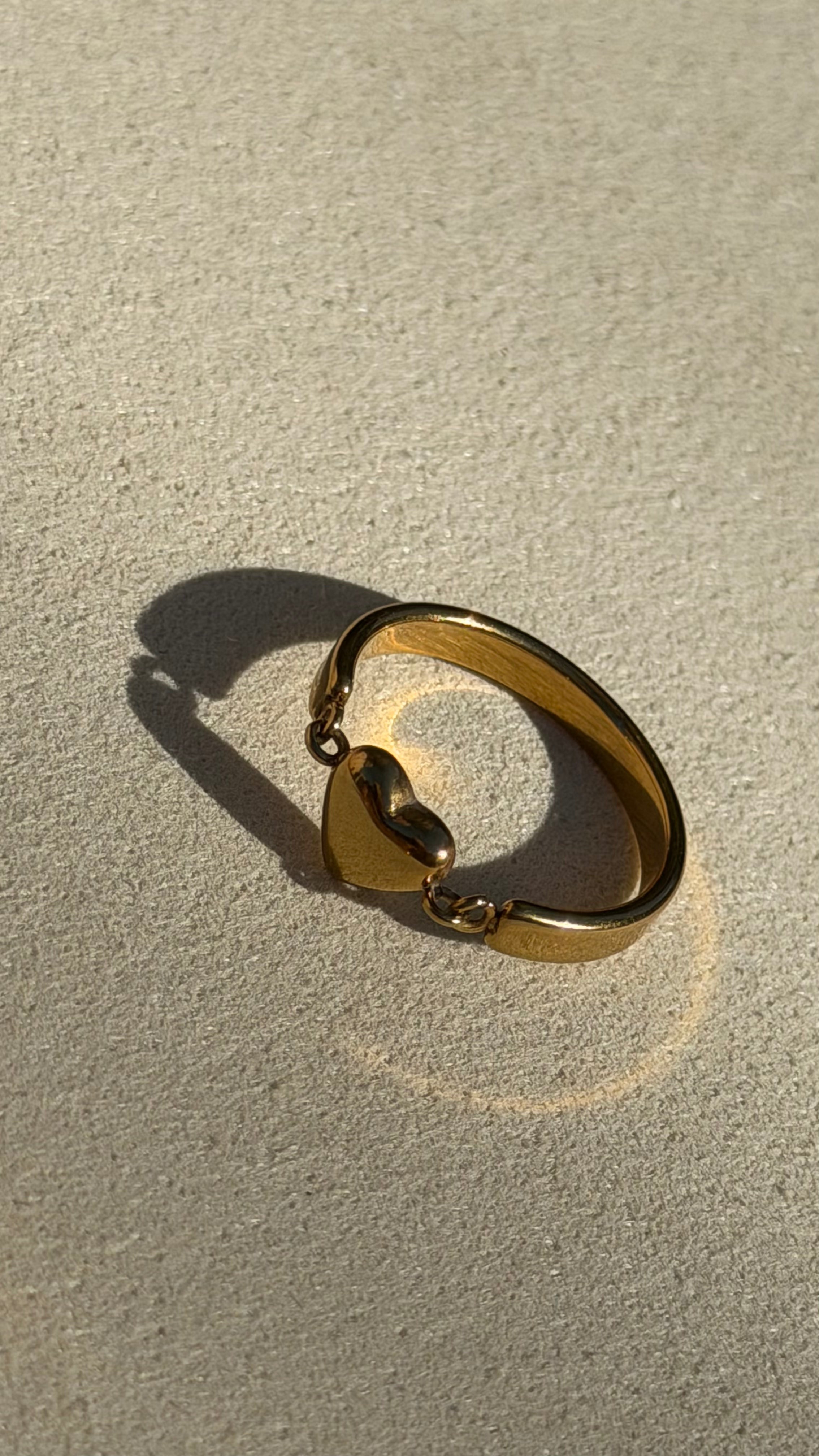 Do Not Disturb Ring