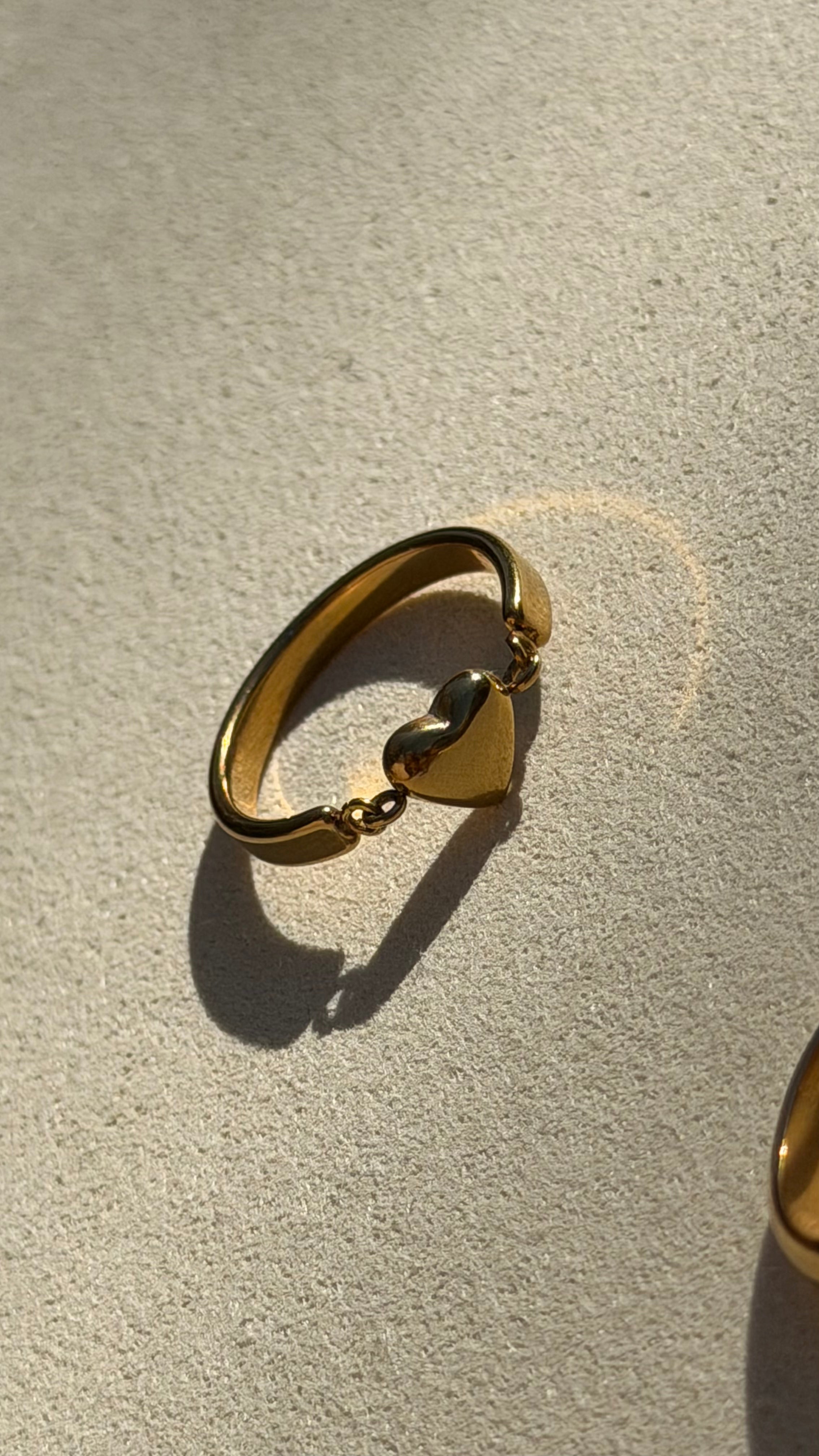 Do Not Disturb Ring